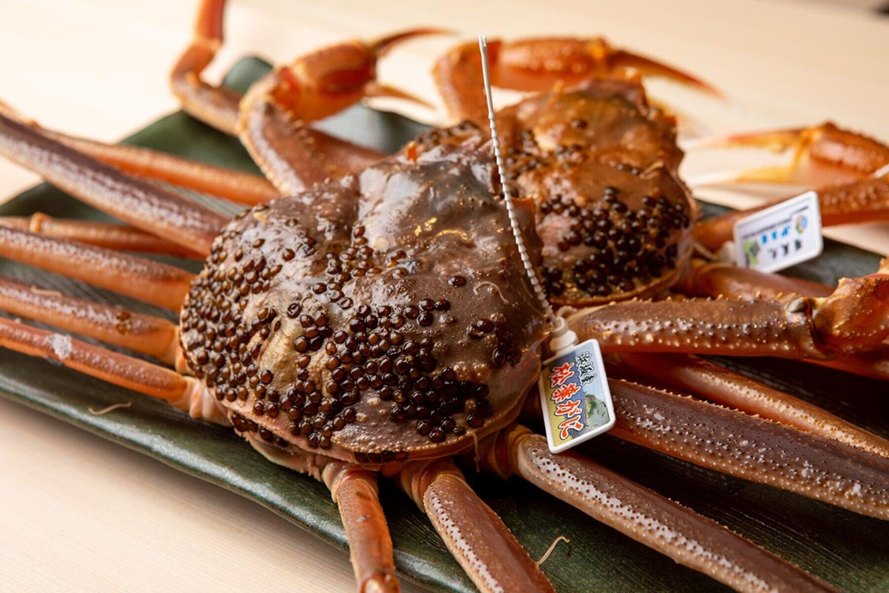 Ryoriya Inaya's image 4