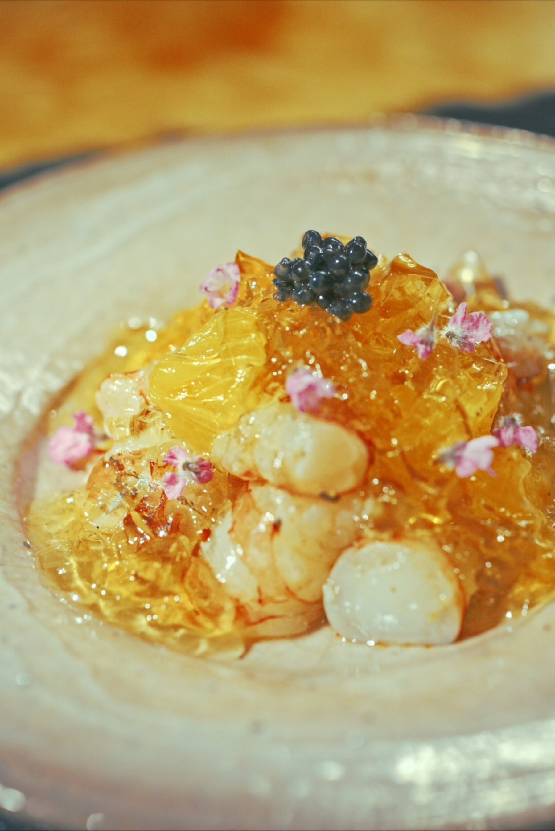 코우시 캠프's image 9