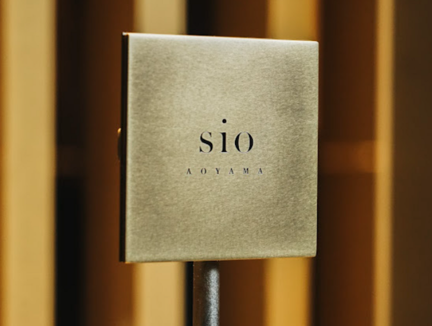 sio AOYAMA's image 3