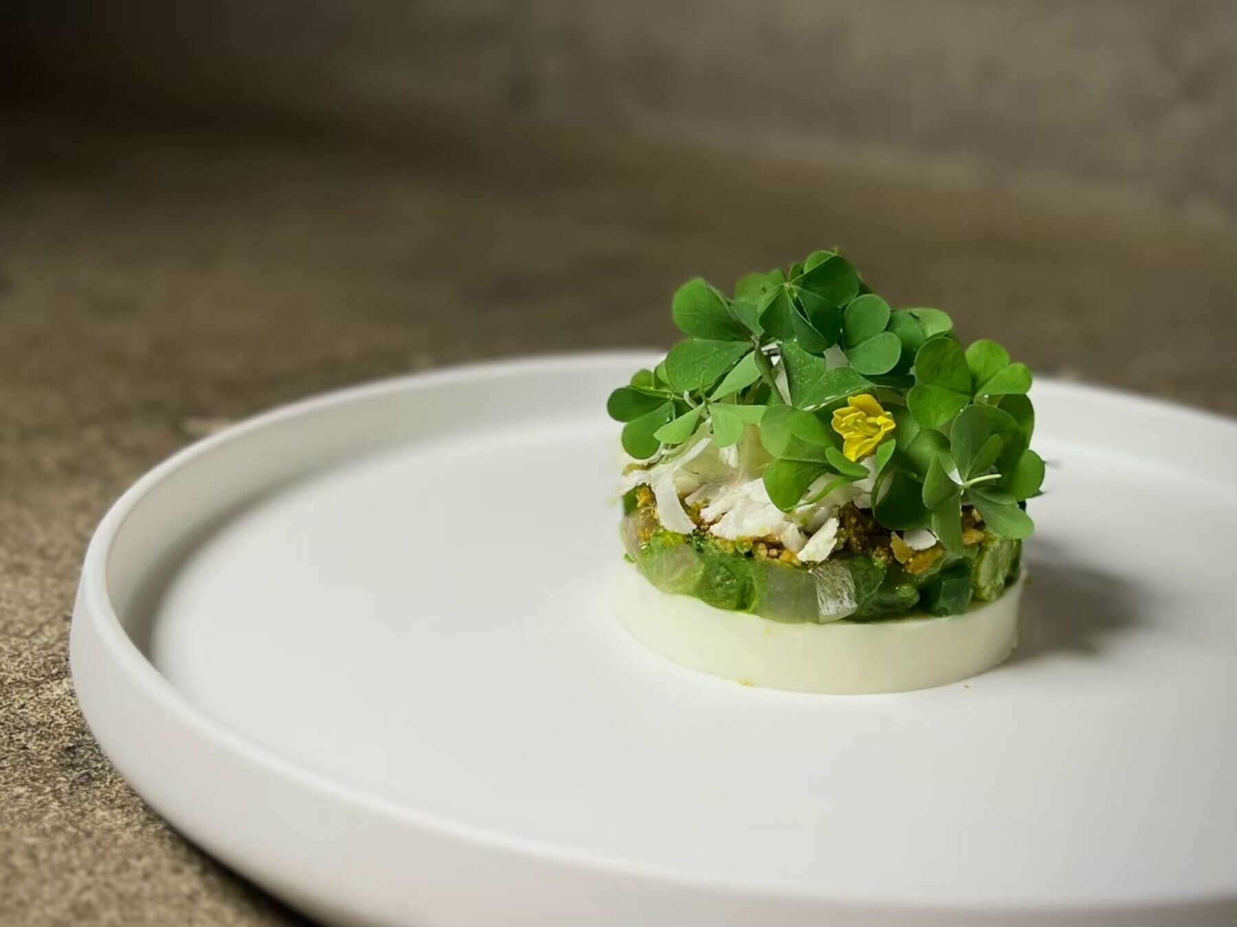 Noeud.TOKYO's image 6