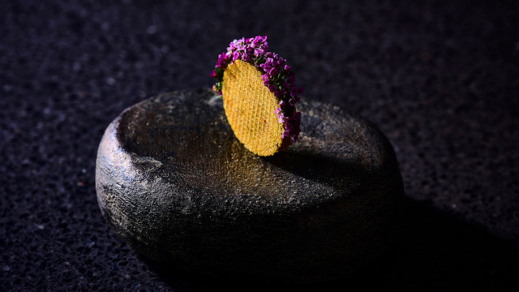 agnel d'or's image 2