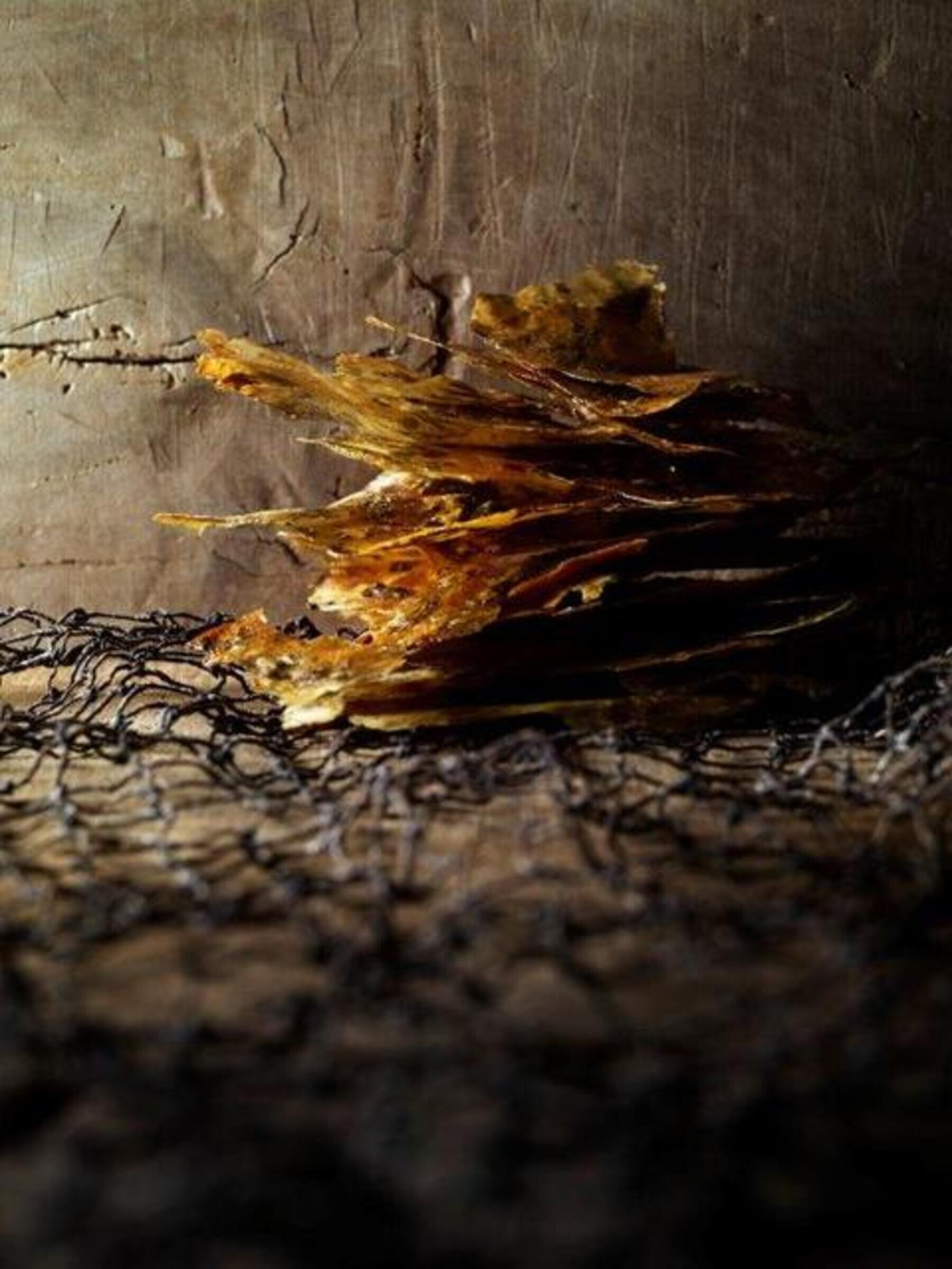 리스토란테 안젤로's image 4