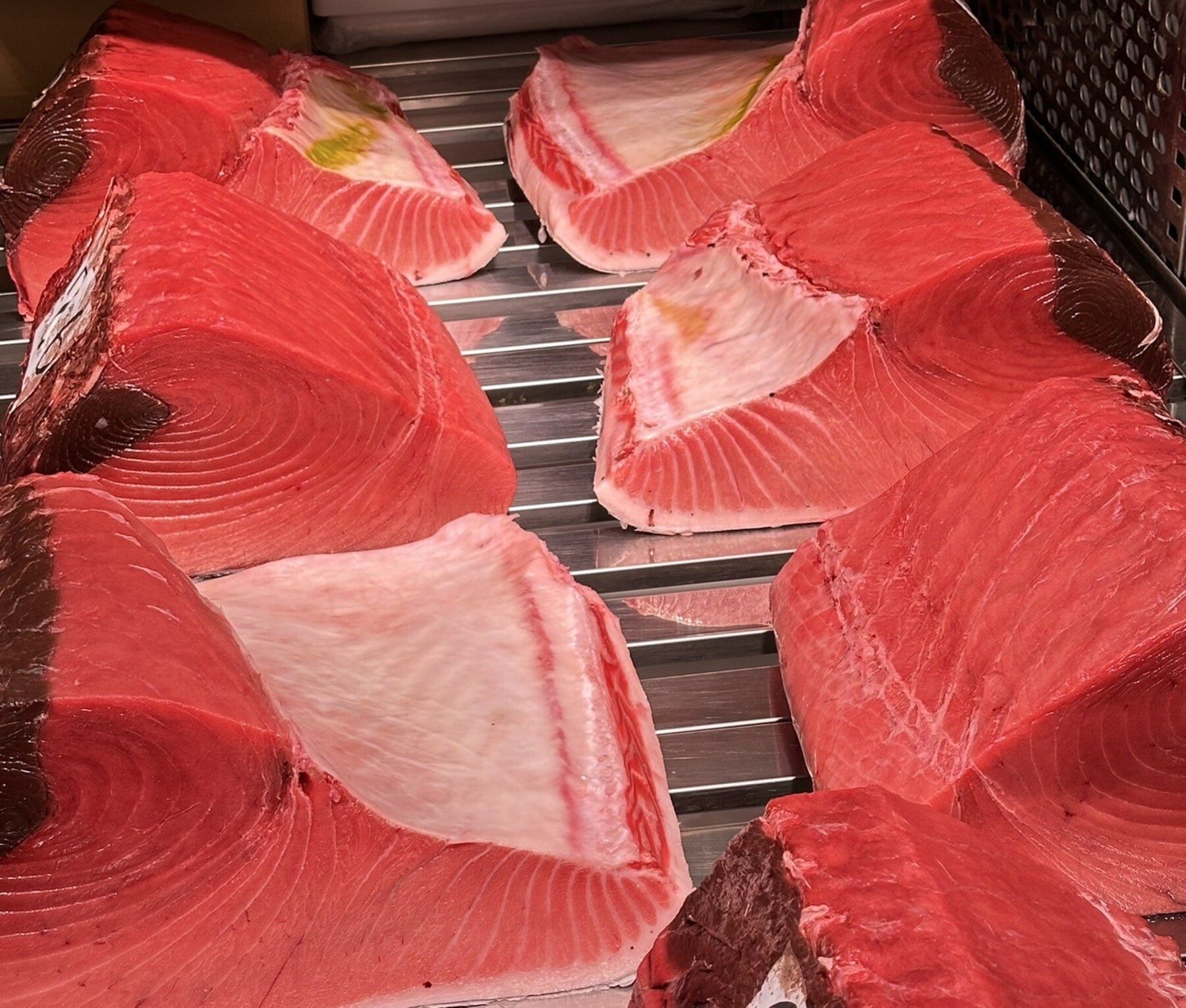 스시도코로 시시's image 5