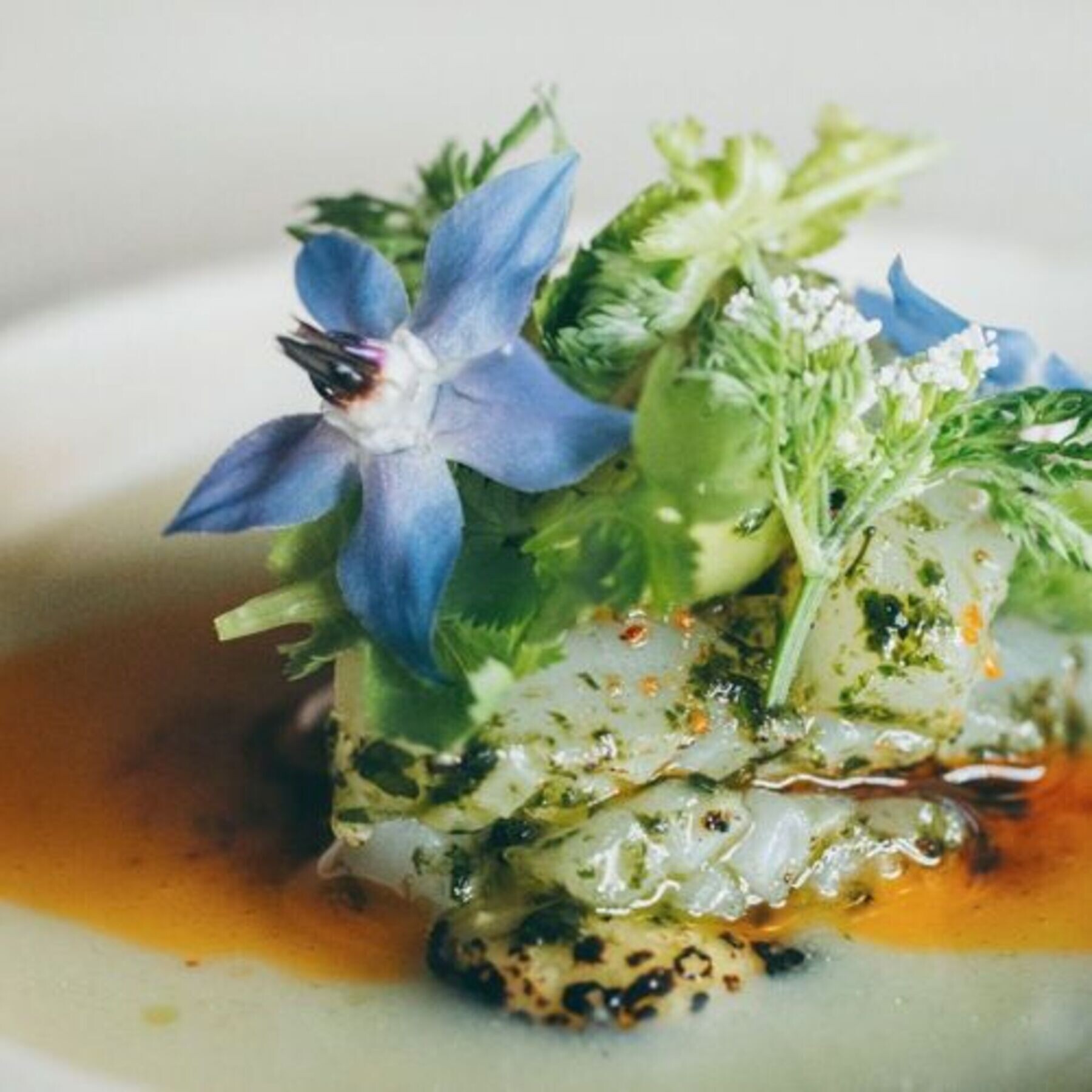 VILLA COMMUNICO's image 1