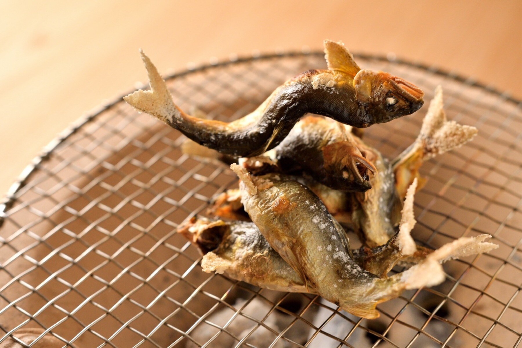 치소 다카야마's image 9