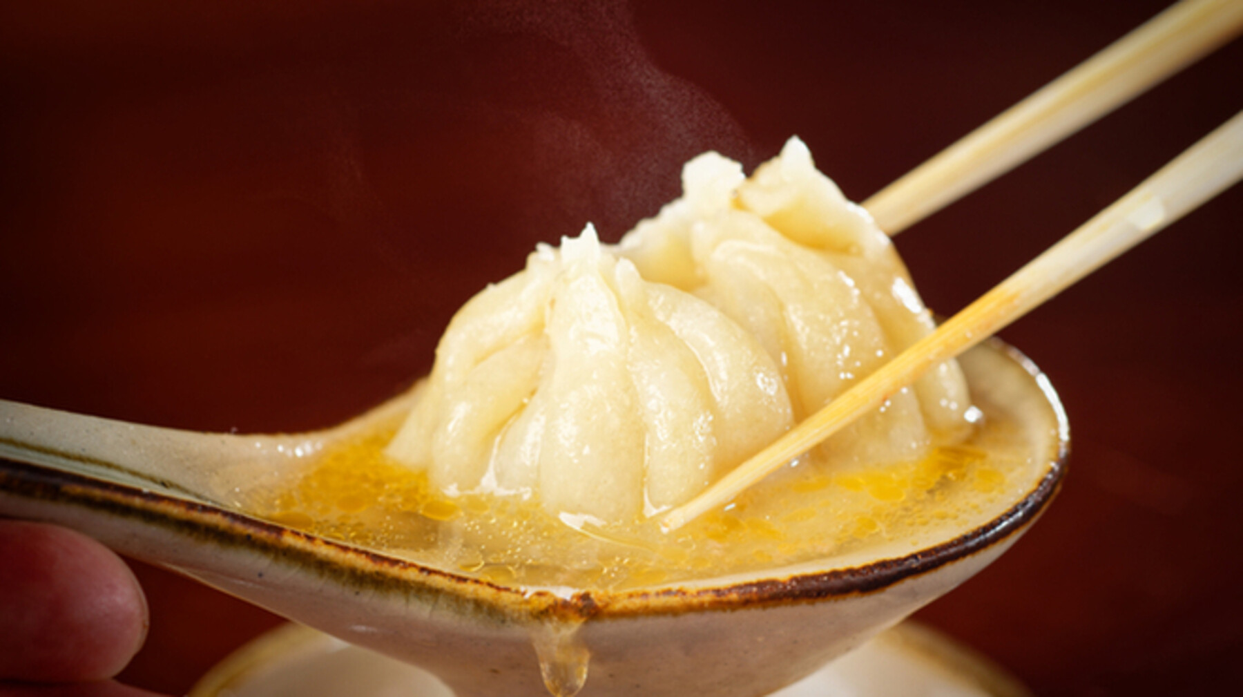 Kyoto wagyu cuisine issekisancho's image 2