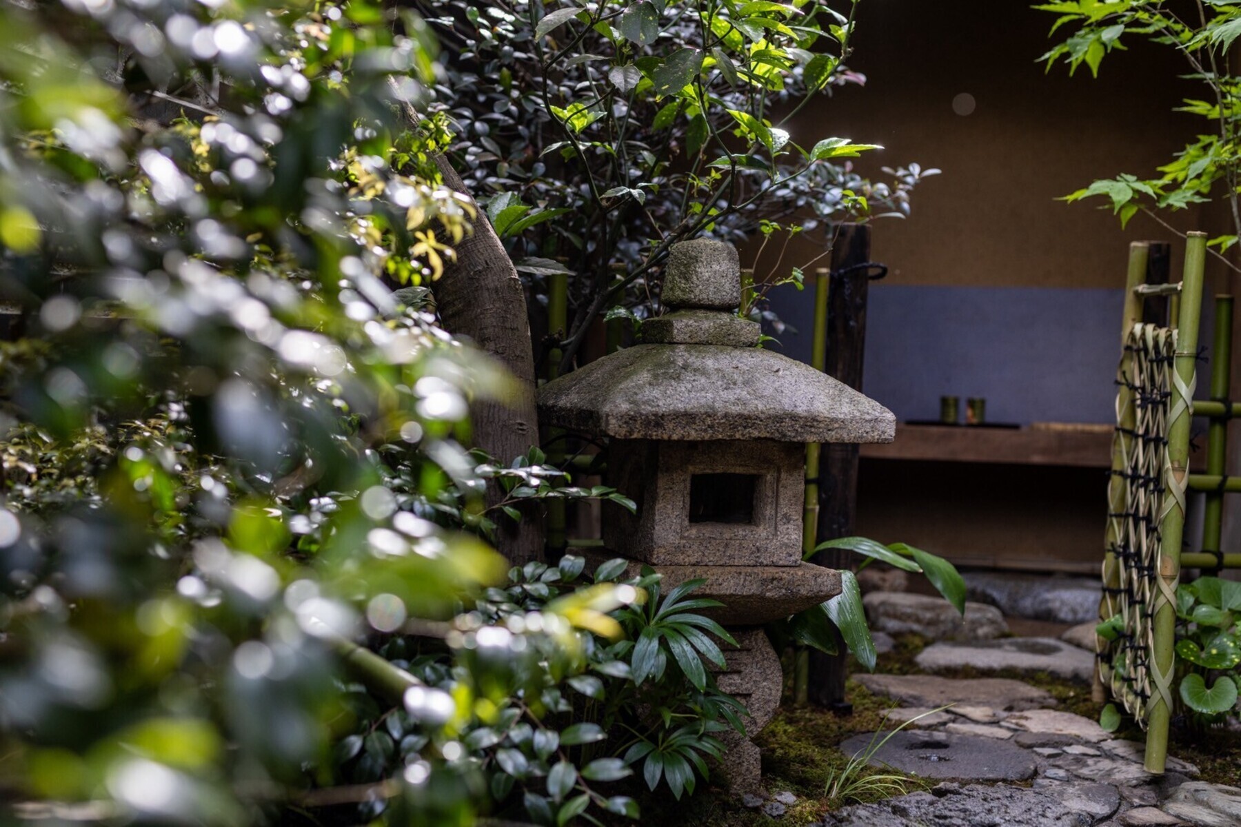 Soba Osame's image 9