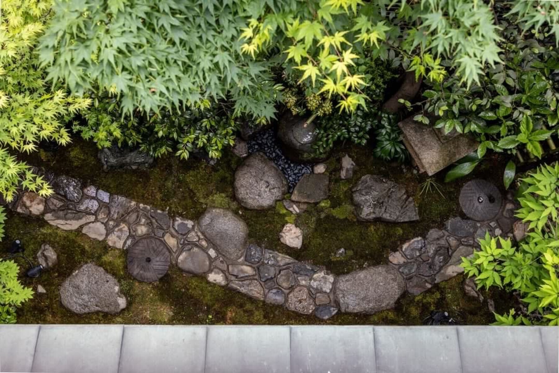 Soba Osame's image 10