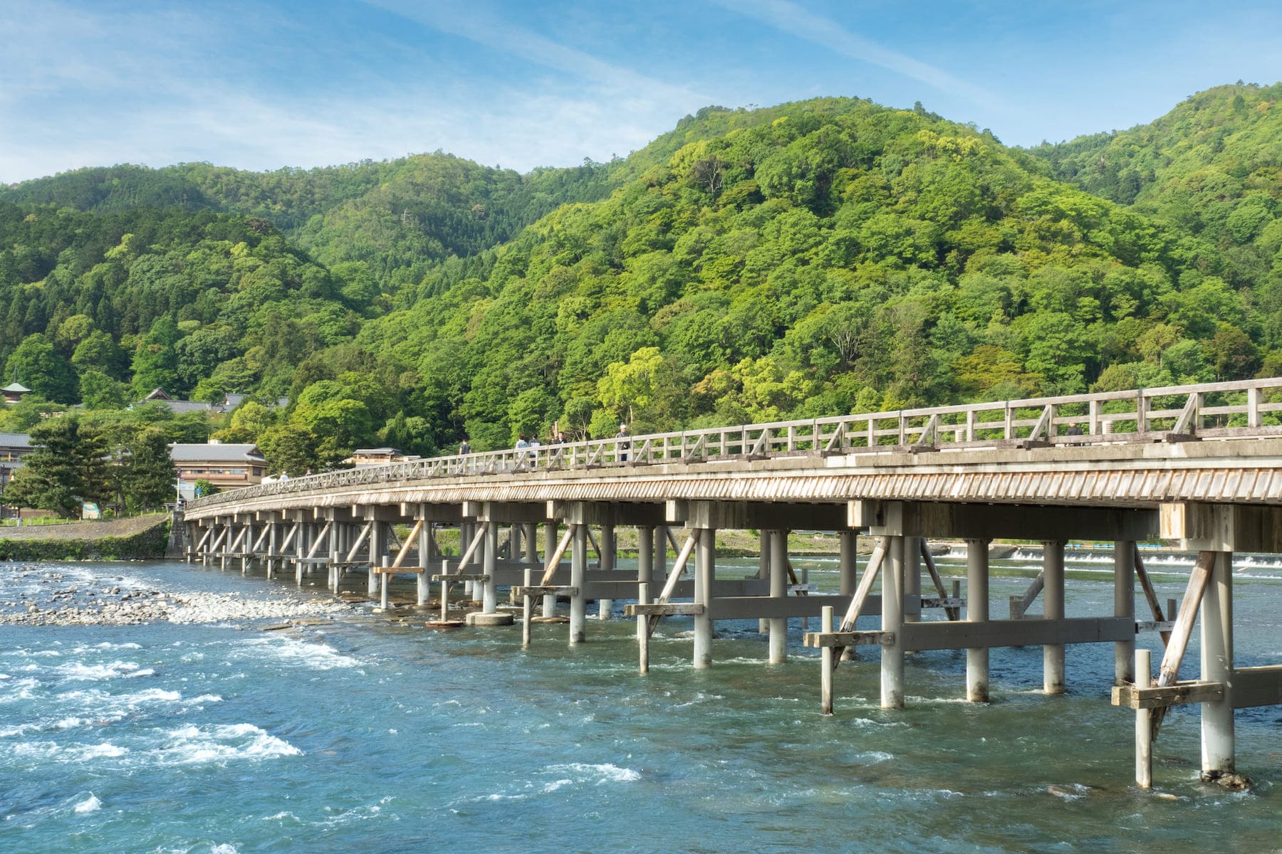 Sagano & Arashiyama Area