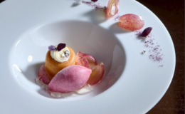 AZUR et MASA UEKI's image 2