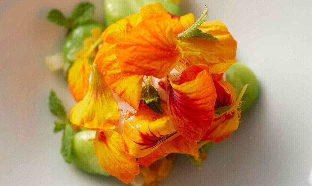 CYCLE by Mauro Colagreco's image 2