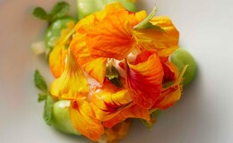 CYCLE by Mauro Colagreco's image 2