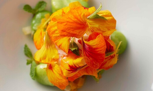 CYCLE by Mauro Colagreco's image