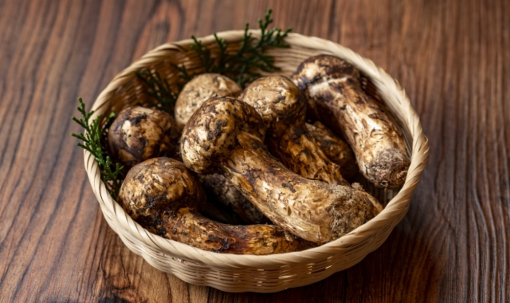 Seasonal Ingredients of Japan: Late Summer and Autumn