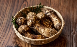 Seasonal Ingredients of Japan: Late Summer and Autumn