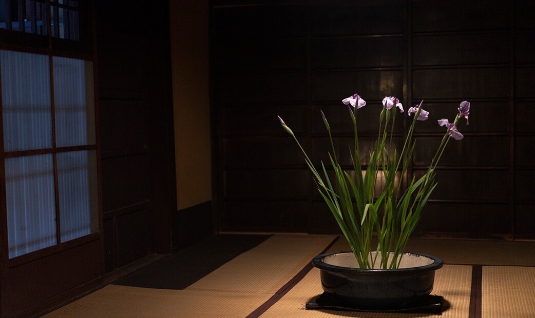 Takagamine Muroi's image 15