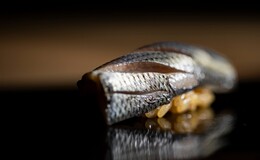 Sushi Ittoku's image 6