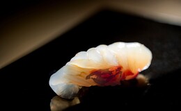 Sushi Ittoku's image 2