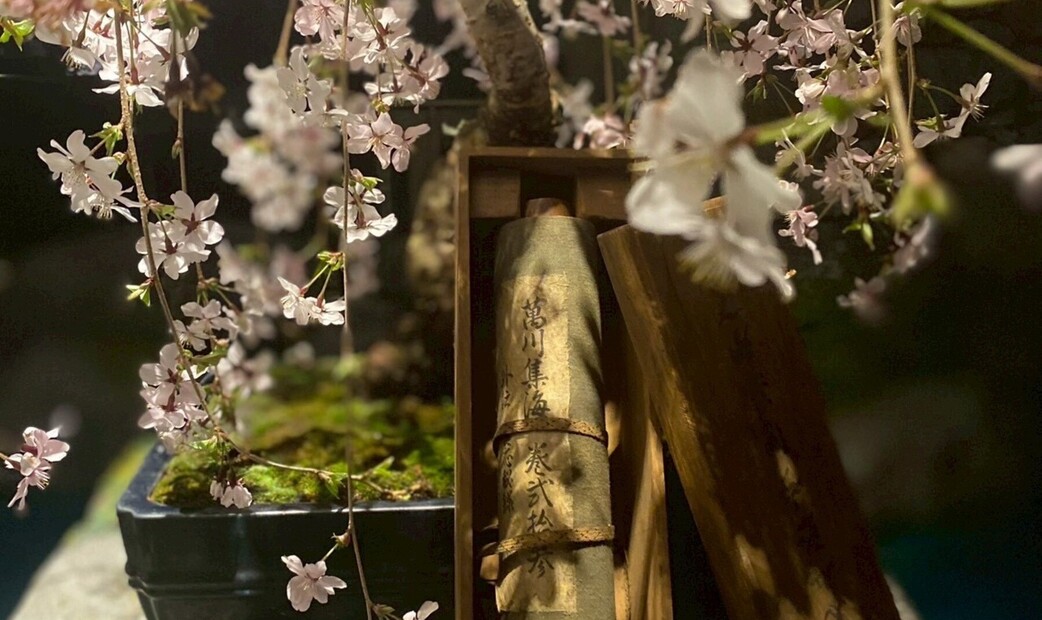 NINJA TOKYO's image 10