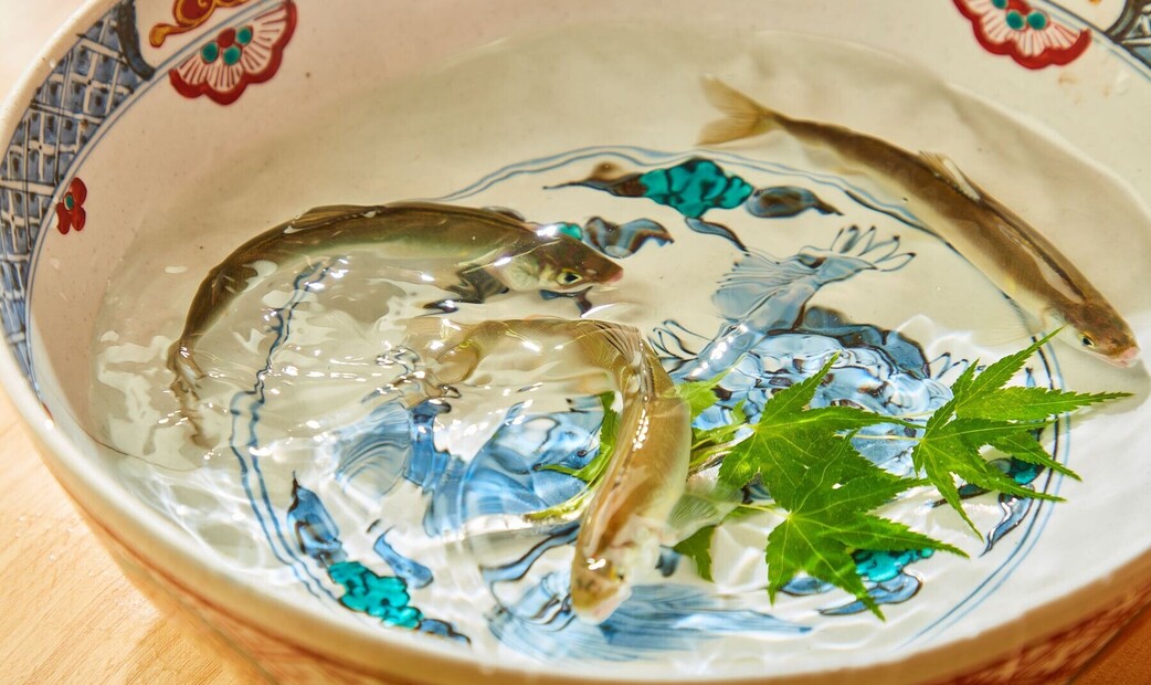 Gion Shizuka's image 8