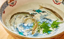 Gion Shizuka's image 8