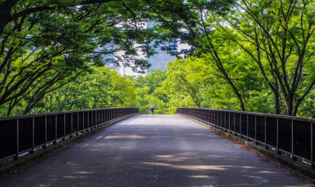 明治神宮周邊美食推薦代代木公園附近