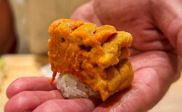 Minamiazabu Sushi Yoshida's image 2