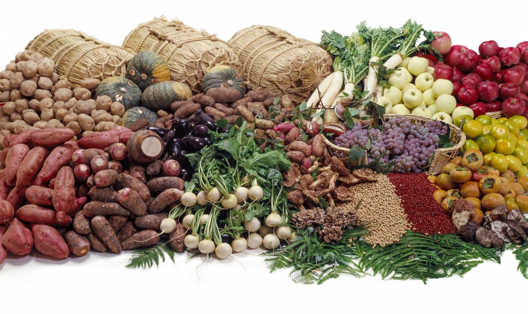 9 Halal-Friendly Restaurants in Kyoto