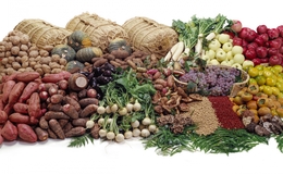 9 Halal-Friendly Restaurants in Kyoto