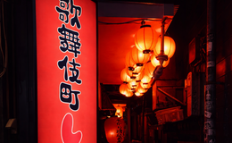 Shinjuku Local Bar & Izakaya Crawl【Cultural Experience】's image 6