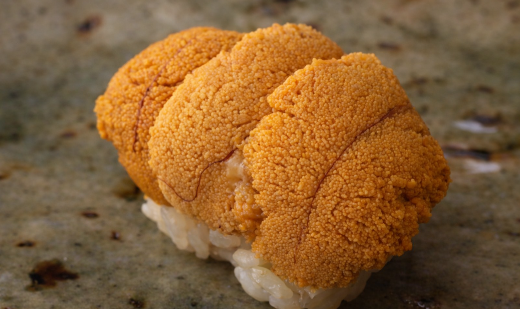 Sushi Matsumoto's image 2