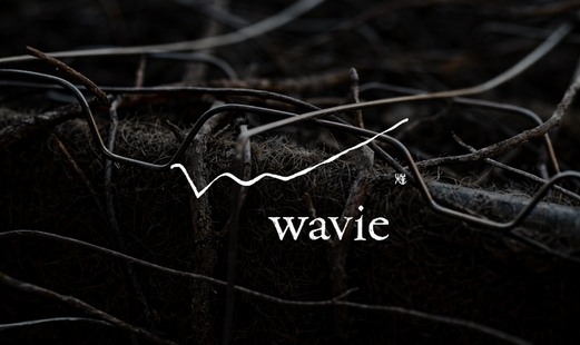 wavie's image