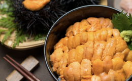 A Culinary Journey Through Hokkaido: Discover the Finest Flavors of Sapporo