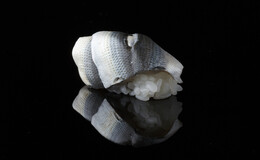 Nihonbashi Seamon's image 3