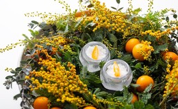 Nishideria's image 6