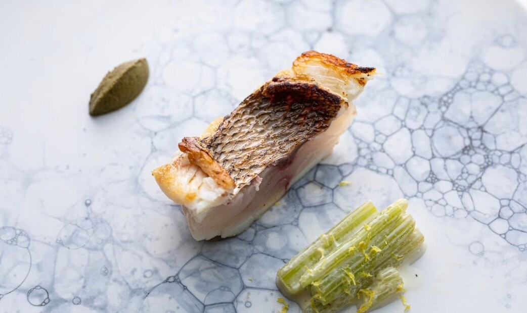 Nishideria's image 11