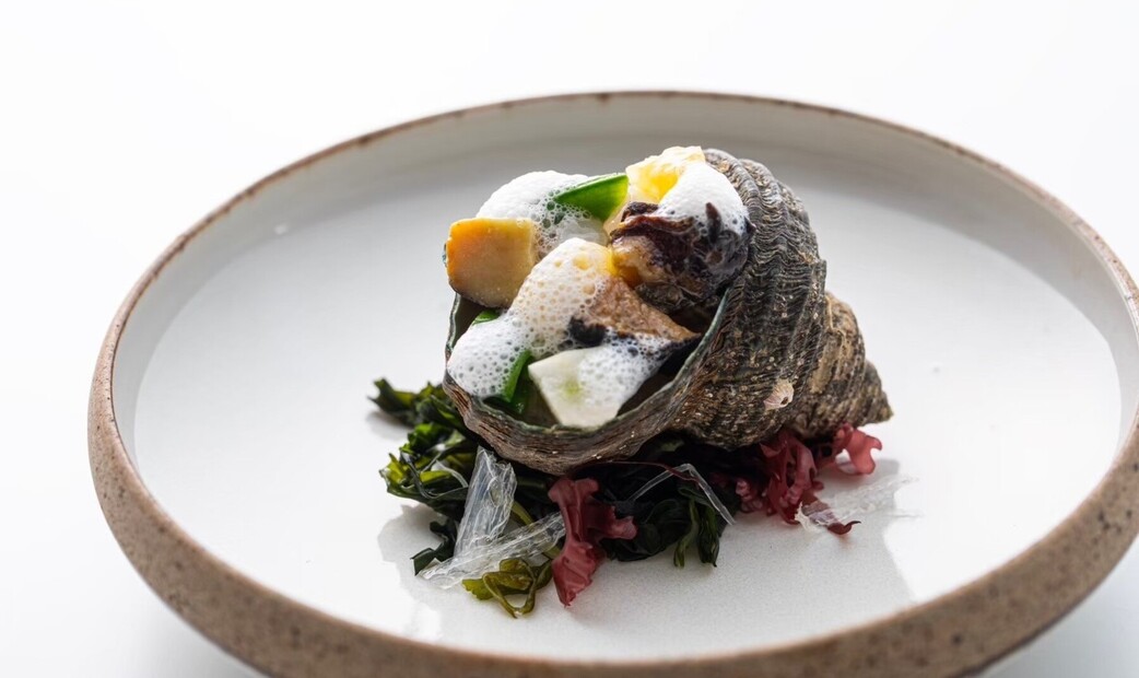 Nishideria's image 12