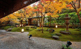 11 Family-Friendly Michelin Kaiseki Restaurants in Tokyo