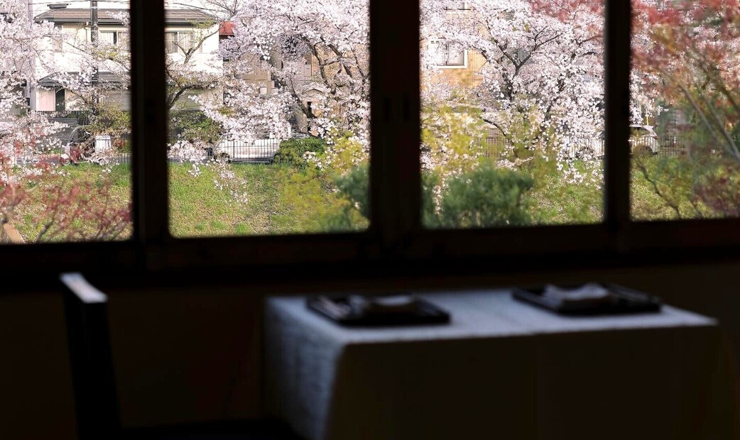 시모가모 사료's image 5