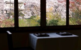 시모가모 사료's image 5