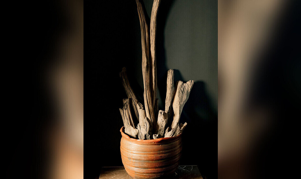 아카사카 히메노's image 4