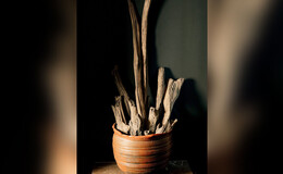 아카사카 히메노's image 4