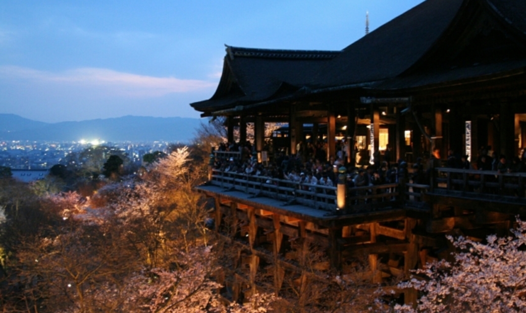清水寺櫻花夜景