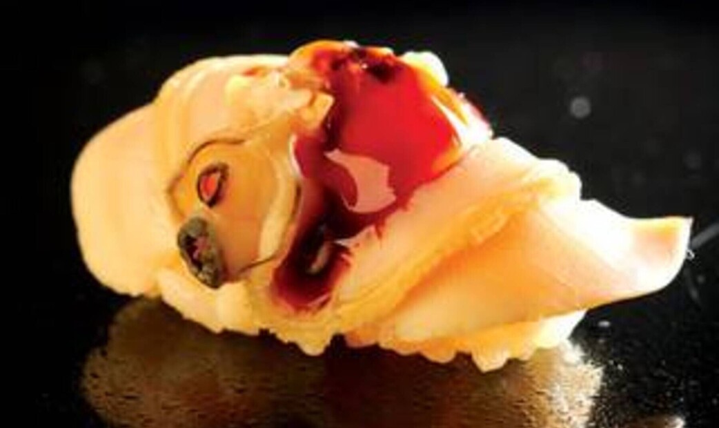 에도후카가와 스시 니시치's image 2