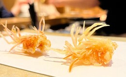 Shunten Shin's image 4