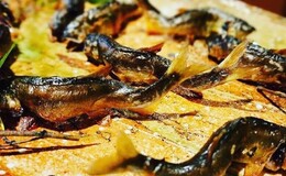 Kitaoji Yuyu's image 2