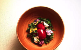 agnel d'or's image 7