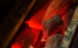 Yakitori Seo's image 8