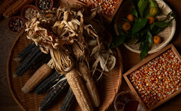 Ginza ETHICA's image 6