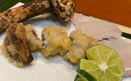 덴푸라 가와타츠's image 1